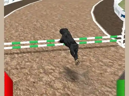 Game: Carrera loca de perros reales