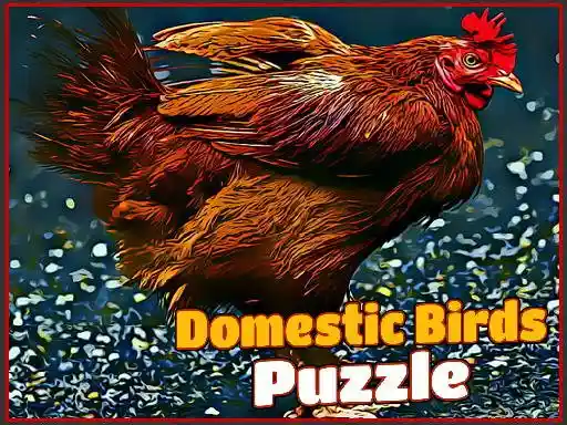 Game: Rompecabezas de Aves Domésticas