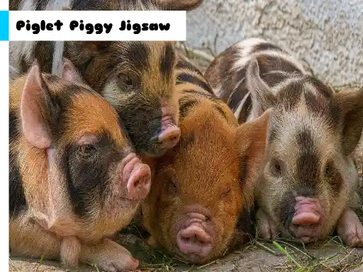 Game: Cerdito Rompecabezas de Cerdito