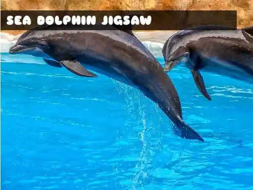 Game: Rompecabezas de delfines marinos