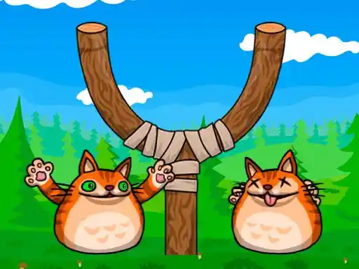 Game: Disparó al gato enojado.