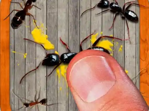 Game: Aplasta el insecto.