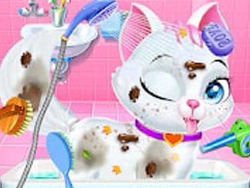 Play: Animal Daycare Pet Doctor Img