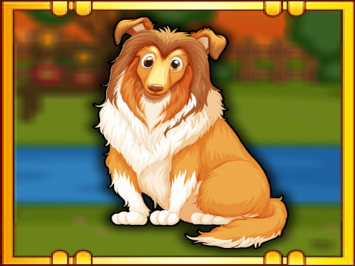 Play: Bernese Mountain Dog Escape Img