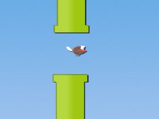 Play: Floppy Fly Img