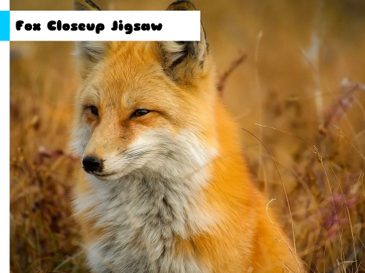 Play: Fox Closeup Jigsaw Img
