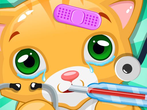 Play: Little Cat Doctor Pet Vet Game Img