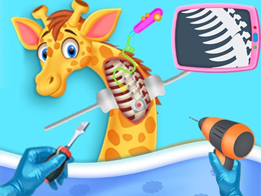 Play: My Pet Vet Hospital Img