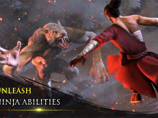 Play: Takashi Ninja Warrior Img