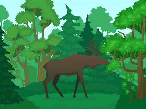 Play: Wild Animals Coloring Img