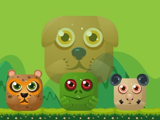 Play: Animal Match Master Img