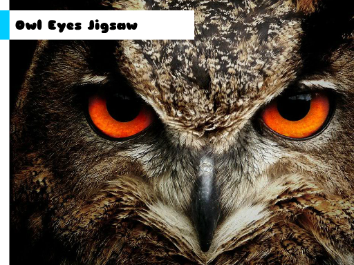 Play: Owl Eyes Jigsaw Img