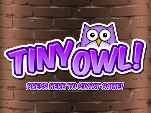 Play: Tiny Owl Img